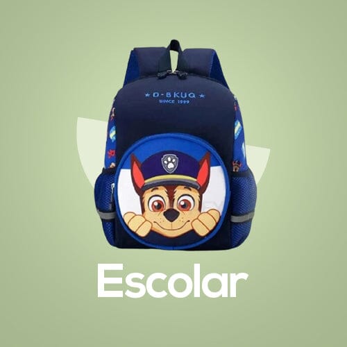Escola e Educação - Todos os Produtos