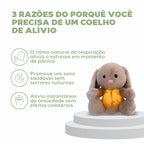 Coelho de Pelúcia que Respira Coelho de Pelúcia que Respira Loja do Bambino 
