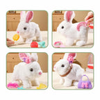 Coelho de Páscoa Pelúcia Elétrico Coelho de Páscoa Pelúcia Elétrico Loja do Bambino 