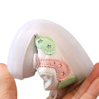 Tênis Infantil leve e respirável para Recém Nascido Tênis Infantil leve e respirável para Recém Nascido Loja do Bambino 