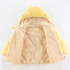 Jaqueta de Pelúcia Infantil Bambino Jaqueta de Sarja Infantil de Pelúcia Loja do Bambino 